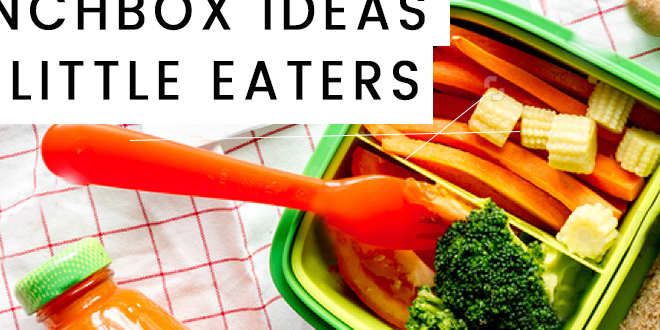 Healthy lunchbox ideas for fussy little eaters